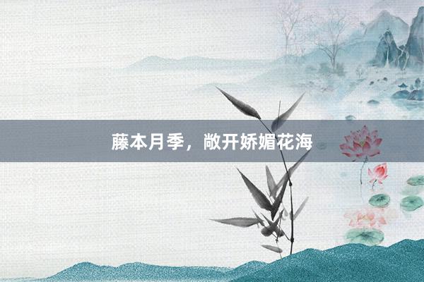 藤本月季，敞开娇媚花海
